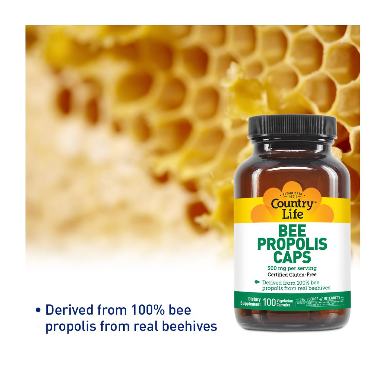 Country Life - Pure Bee Propolis Caps, 500 mg - 100 Vegetarian Capsules