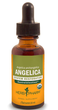 Thumbnail for Herb Pharm Certified Organic Angelica Root Liquid Extract for Digestive Support, 1 Fl Oz