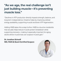 Thumbnail for Transparent Labs Creatine HMB - Creatine Monohydrate Powder with HMB for Muscle Growth, Increased Strength, Enhanced Energy Output, and Improved Athletic Performance - 30 Servings, Unflavored