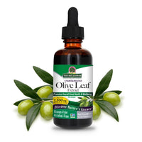 Thumbnail for Nature's Answer Olive Leaf Extract, Alcohol-Free, Non-GMO, Vegan, Gluten-Free, Made in USA, 2 Ounce | Olive Leaf Extract for Wellness