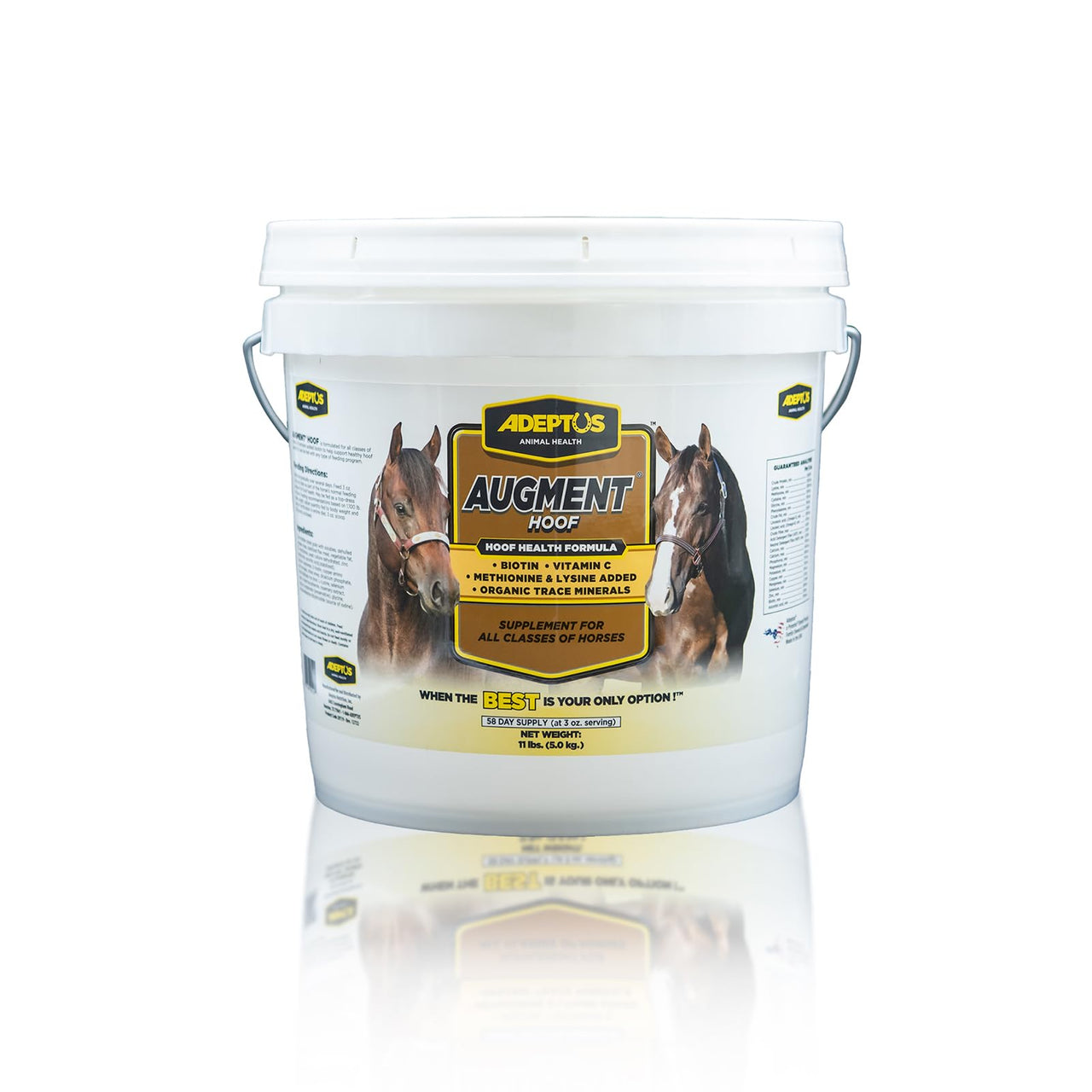 Adeptus Nutrition Augment Hoof, Granular Low Carb Horse Nutrition Support Supplement with Biotin, Amino Acids, Omega 3, 6 Fatty Acids, Chelated Minerals, Prebiotic Yeast Base, 11lbs