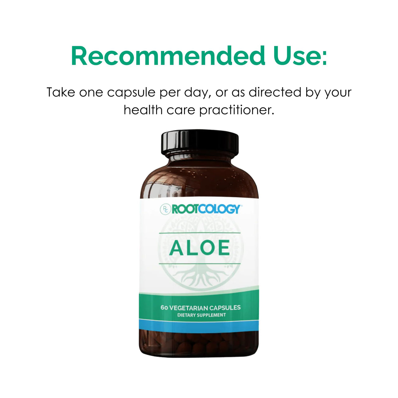 Rootcology by Dr. Izabella Wentz | Aloe Vera for GI Support | 200:1 Whole Aloe Leaf Capsules | 60 Vegetarian Capsules