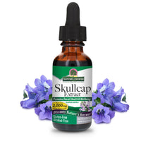 Thumbnail for Nature's Answer Alcohol-Free Skullcap Herb, 1-Fluid Ounce
