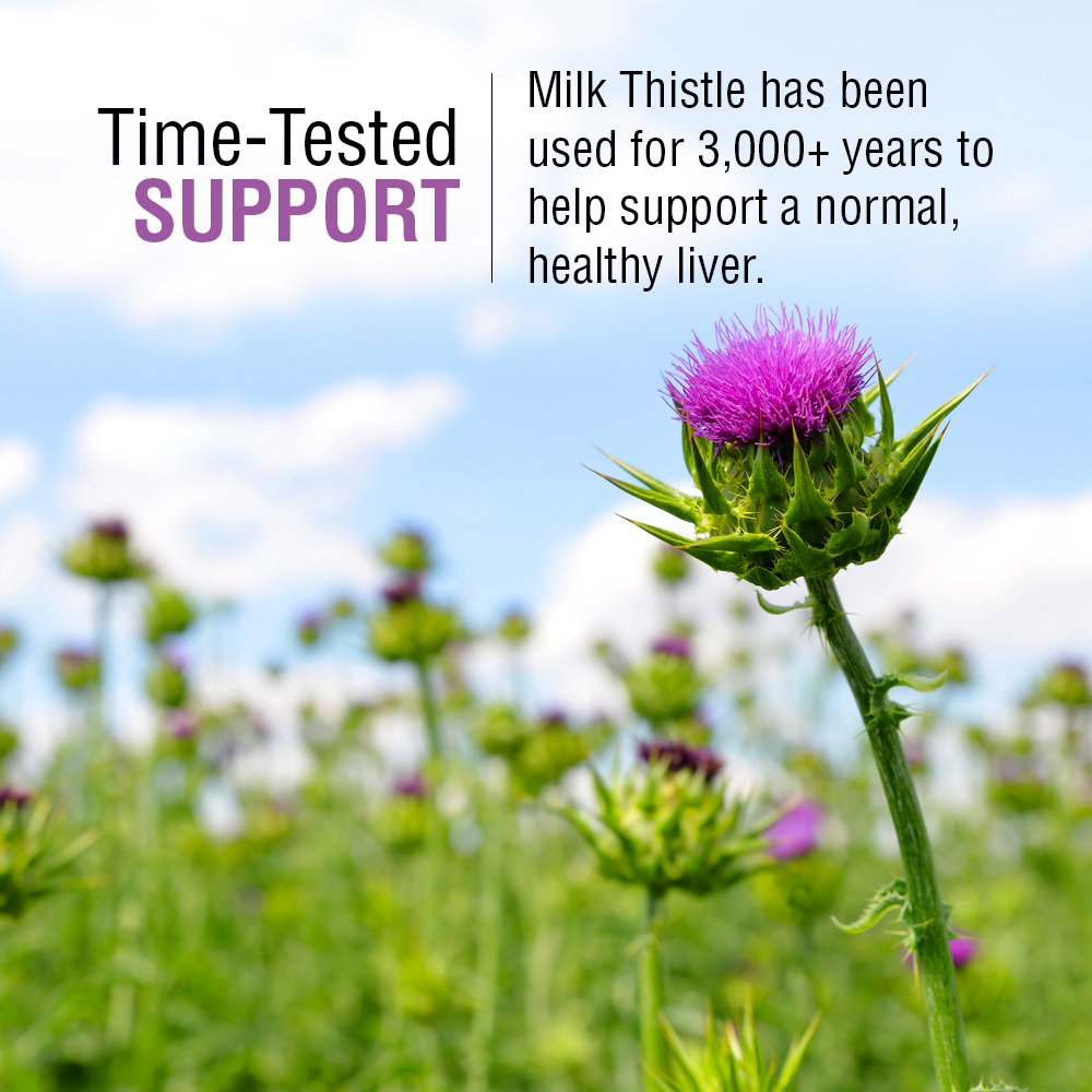 SOLARAY Milk Thistle Seed Extract 175mg Antioxidant Intended to Help Support a Normal, Healthy Liver Non-GMO & Vegan