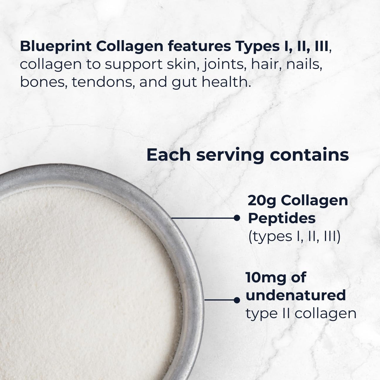 Blueprint Bryan Johnson Collagen Peptide Powder - 20G Collagen Peptides - Types I, II, III - No Added Sugar, Joint & Skin Support - Pasture Raised - Versatile Powder for Daily Use (30 Servings)