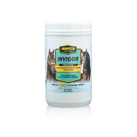 Thumbnail for Adeptus Nutrition Invigor Equine Digestive Support Supplement, Daily Prebiotic Yeast Formula with Hydrolyzed & Dehydrated Yeast, Low-Sugar Feed Topper for All Classes of Horses, 3 Lbs