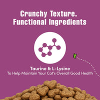 Thumbnail for Get Naked Digestive Health Crunchy Cat Treats 2.5oz - Chicken Flavor, Grain-Free Cat Probiotics for Indoor Cats, Supports Healthy Digestion, Dental Health & Immunity, Made in The USA