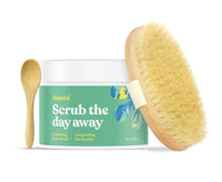 Thumbnail for ASUTRA Dead Sea Salt Essential Oil Body Scrub Exfoliator and Dry Brush Bundle (Invigorating Eucalyptus), 16 oz - Ultra Hydrating, Gentle, & Moisturizing - Coconut, Eucalyptus, and Marjoram Oils