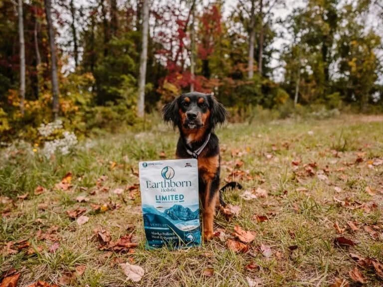 Earthborn Holistic Venture Alaska Pollock Meal & Pumpkin 4 lb. Limited Ingredient Grain-Free Dry Dog Food