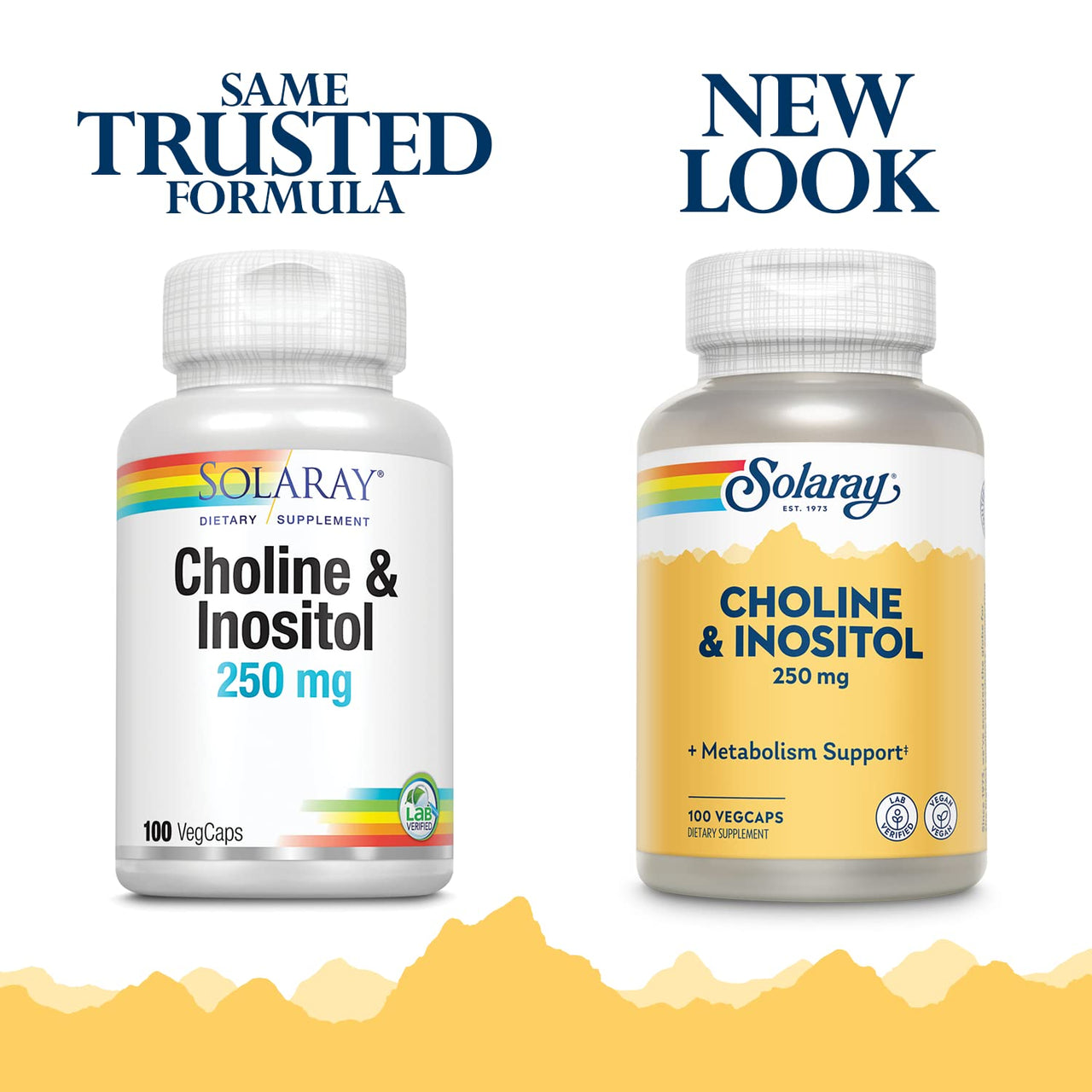 SOLARAY Choline & Inositol 250 mg | Two-Nutrient Combo for Healthy Fat Metabolism, Brain Function Support | 100 VegCaps