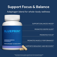Thumbnail for Blueprint Bryan Johnson Ashwagandha & Rhodiola Longevity Adaptogen Supplement - 600mg Ashwagandha, 300mg Rhodiola Rosea Extract (3% Rosavins/1% Salidroside) - Supports Calm, Energy&Cognition – Non-GMO