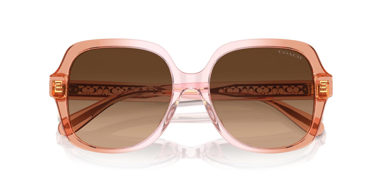 COACH Sunglasses HC 8395 F 581274 Cr962 Saddle/Dusty Rose Grad