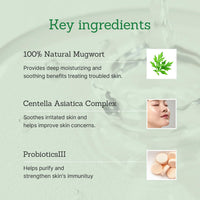 Thumbnail for Mugwort Super Calming Toner - Korean Hydrating Toner for face, Purifying Mugwort Essence, Soothing, Calming, Refreshing Facial Toner for Oily, Dry, and Sensitive Skin, Daily Skin Care, 8.45 fl.oz