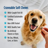 Thumbnail for Nordic Naturals Pet Joint Support Soft Chews, 30 Count, & Omega-3 Fish Oil for Small Dogs and Cats, 8oz.