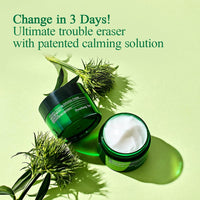 Thumbnail for Pyunkang Yul PKY Ultimate Calming Solution Cream for Sensitive Skin with Patented Ingredients, Moisturizer Intensely Calms & Soothes Redness with Cica & Tea Tree, Korean Skincare (1.01 Fl. Oz, 30ml)