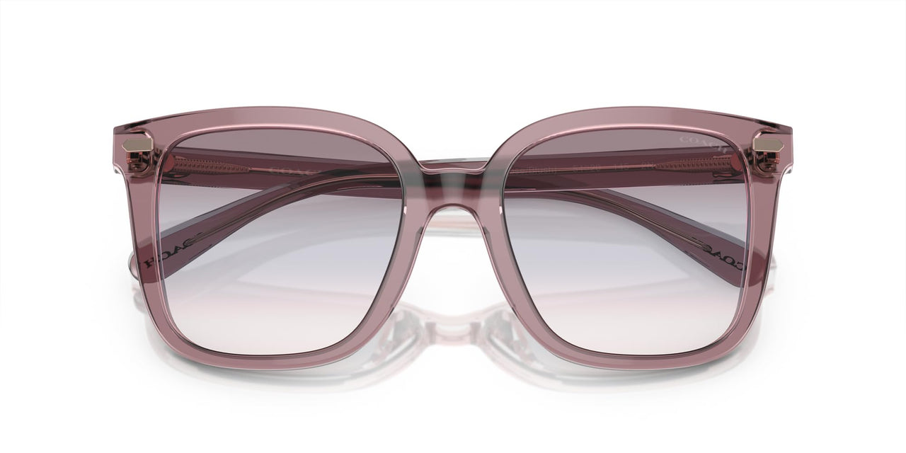 Coach HC8381F Low Bridge Fit Sunglasses, Transparent Rose/Blush/Purple Blue Peach Gradient, 56 mm