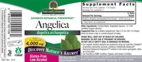 Thumbnail for Nature's Answer Angelica Root with Organic Alcohol, 1-Fluid Ounce