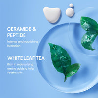 Thumbnail for LANEIGE Icons To Go Set: Cream Skin, Water Bank Cream, Lip Sleeping Mask, Water Sleeping Mask, Travel Size, Full Size, Hydrate, Barrier-Boosting