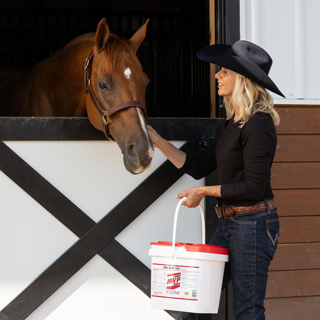 MVP Air-Way EQ Supports Healthy Lung Function and Seasonal Allergy Support in Horses, 5lb - 40 Servings