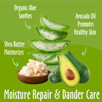 Thumbnail for earthbath, Shea Butter Shampoo - Dog Shampoo, Plant-Based, Cruelty-Free, Vegan, Gluten-Free, Non-GMO, Made in USA, Moisutre Repair & Dander Care - 16 Oz (1 Pack)