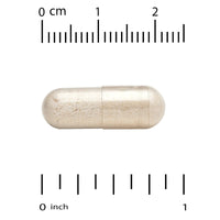 Thumbnail for 100 Billion CFU Probiotics, 60 Veggie Capsules by California Gold Nutrition