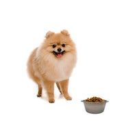 Thumbnail for SPOT Stainless Steel Mirror Finish Bowl, Durable Chew-Proof Food/Water Dish for Mini Dogs, Small Dogs, and Puppies, 2 Cups (16 oz) Capacity