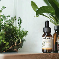 Thumbnail for Eclectic Herb - Bilberry Liquid Herbal Glycerite | Vision Support Supplement | Vision Health & Cardiovascular Support | Concentrated, Alcohol-Free, Organic, Vegan, Non GMO (1 fl oz | 30 ml)