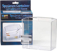 Thumbnail for Lee's Convalescent Home/Specimen Container, Small