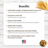 Thumbnail for LAFEBER'S Classic Nutri-Berries Conure Food, Made with Non-GMO and Human-Grade Ingredients, for Conures (Classic 10 oz)