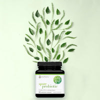 Thumbnail for Youtheory Spore Probiotic - 6 Billion CFU - Probiotic Digestive Supplement* - Resists Stomach Acid Breakdown* - Dairy, Gluten & Soy Free - 60 Vegetarian Capsules