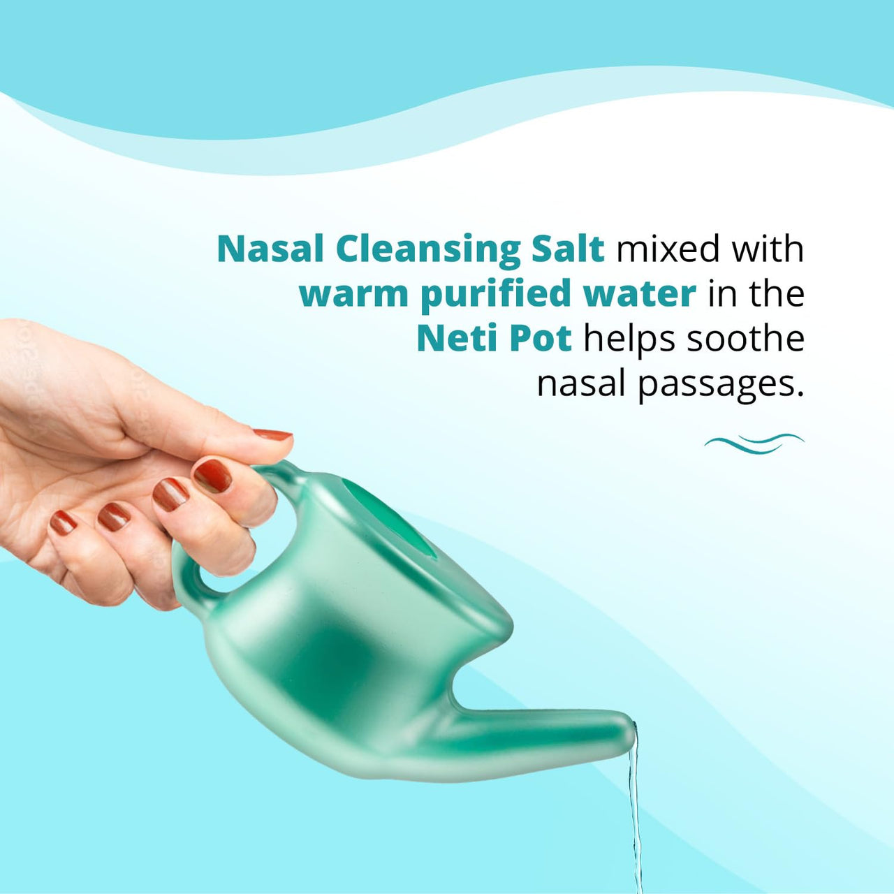 Ancient Secrets Neti Pot Sinus Rinse - Nasal Cleansing Pot, Plastic Travel Model, Nasal Irrigation, BPA-Free Neti Potâ€¯+ 6 Pre-Measured Packs of Nasal Cleansing Salt