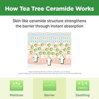 Thumbnail for ISOI Moisture Dr. Mask Pack, Hydrating & Soothing Korean Sheet Mask for Face with Tea Tree, Ceramide & Hyaluronic Acid, Nourishing Skin Barrier Care, Korean Skin Care (10EA)