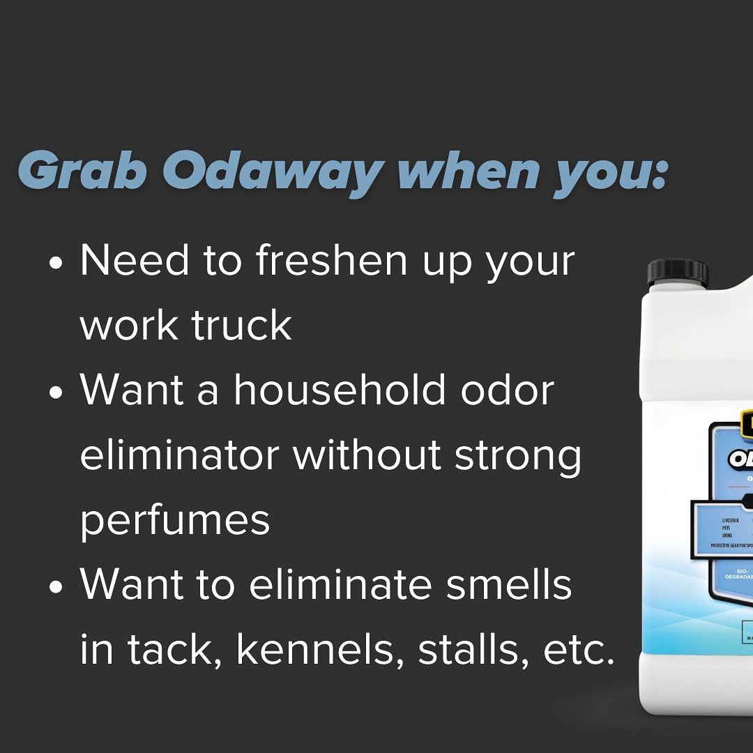 Pyranha Odaway Ready-to-Use Odor Eliminator Spray – Broad Spectrum Scent Neutralizer for Home, Kennel, Car, Bathroom & Gear, BOV Can 15 oz