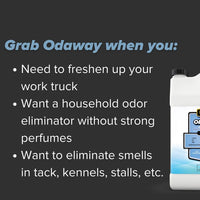 Thumbnail for Pyranha Odaway Ready-to-Use Odor Eliminator Spray – Broad Spectrum Scent Neutralizer for Home, Kennel, Car, Bathroom & Gear, BOV Can 15 oz