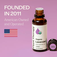 Thumbnail for Plant Therapy Organic Lavender Essential Oil 100% Pure, USDA Certified Organic, Undiluted, Natural Aromatherapy for Diffusion & Topical Use, For Skin, Hair, Relaxation, Premium Therapeutic Grade 30 mL