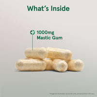 Thumbnail for Jarrow Formulas Mastic Gum 1000 mg - 120 Veggie Caps - Mastic Gum Capsules Supporting Stomach and Duodenal Health - 60 Servings