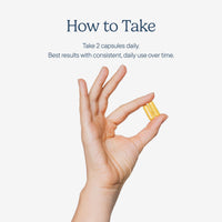 Thumbnail for Zenwise Health No Bloat Digestive Enzymes for Gut Health, Gas & Bloating Relief - Multi Enzymes Digestion Supplement with Probiotics, Ginger, Turmeric Dandelion & Lactase - Men & Women - 160 Count