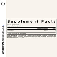 Thumbnail for Codeage Liposomal Trigonelline - 250 mg Per Capsule - 3-Month Supply - Plant-Based Alkaloid - Liposomal Delivery for Bioavailability - Metabolic Health Support - Vegan Nootropic Non-GMO - 90 Capsules