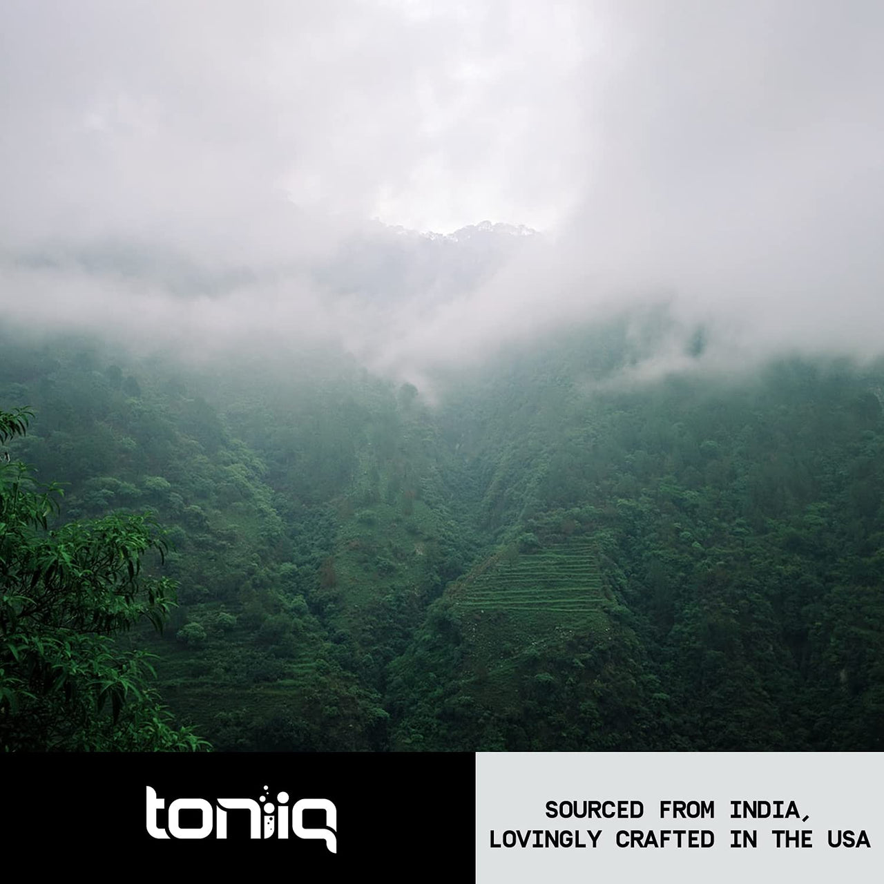 Toniiq Ashwagandha - Ultra High Potency 20:1 Extract with 10% Withanolides - Wild Harvested in India - Highly Concentrated - Third-Party Lab Tested - 90 Capsules