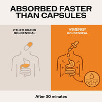 Thumbnail for Vimergy USDA Organic Goldenseal Supplement – 57 2mL (2 Droppers or 48-54 Drops) Servings (200mg Extract Per Serving). Vegan, Alcohol-Free Golden Seal herb Drops Great for Tea (115 mL)
