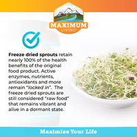 Thumbnail for Maximum Living - Vita-Sprout Whole-Food Multivitamin & Phytonutrient Blend - 120 Capsules