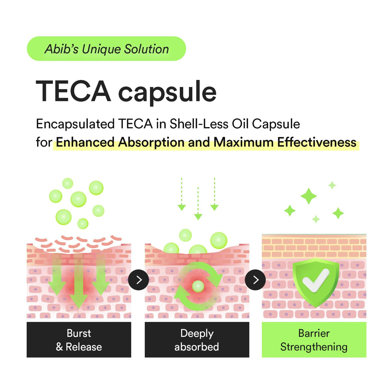 Abib Heartleaf Teca Capsule Serum Calming Drop 1.69 fl oz, Centella Asiatica & Niacinamide Serum for Soothing, Acne Treatment for Face, Korean Skin Care for Oily Skin