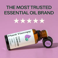 Thumbnail for Plant Therapy Organic Lavender Essential Oil 100% Pure, USDA Certified Organic, Undiluted, Natural Aromatherapy for Diffusion & Topical Use, For Skin, Hair, Relaxation, Premium Therapeutic Grade 30 mL