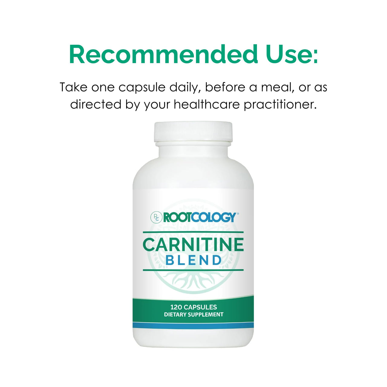 Rootcology by Dr. Izabella Wentz | Carnitine Blend | L-Carnitine & Acetyl-L-Carnitine Formula | Ideal for Vegetarians | 120 Capsules