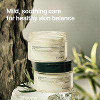Thumbnail for [PKY] Pyunkang Yul Calming Toner Pad with Tea Tree, 5 Hyaluronic Acids, Removes Dead Skin Cells, Moisturizes, Korean Face Skin Care, Acne Prone & Sensitive Skin, Double-Sided Pad 7.7 fl.oz 70ea