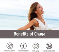 Thumbnail for Om Mushroom Superfood Chaga Organic Mushroom Powder, 3.5 Ounce, 50 Servings, US Grown, Sacred Antioxidants & Immune Support, Superfood Mushroom Supplement