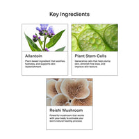 Thumbnail for CLEARSTEM - CELLRENEW - Collagen Stem Cell Serum - Acne + Youthful Skin Face Serum - Hyaluronic Acid, Reishi, Aloe Vera - Facial Skin Care Products - Gluten Free, Cruelty Free - 1 fl oz / 29ml