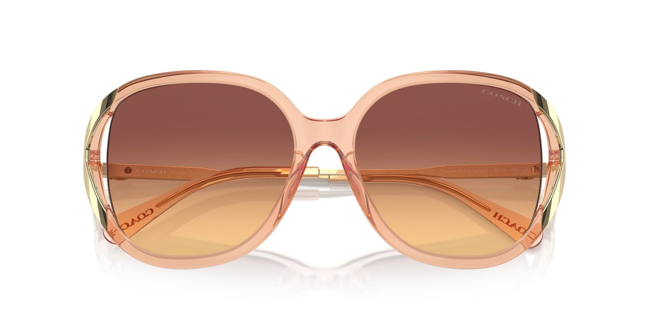 COACH Sunglasses HC 8396 U 556178 Cr620 Transparent Champagne Ma