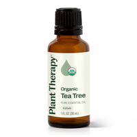 Thumbnail for Plant Therapy Organic Tea Tree Oil (Melaleuca) 100% Pure, USDA Certified Organic, Undiluted, Natural Aromatherapy, Therapeutic Grade 30 mL (1 oz)