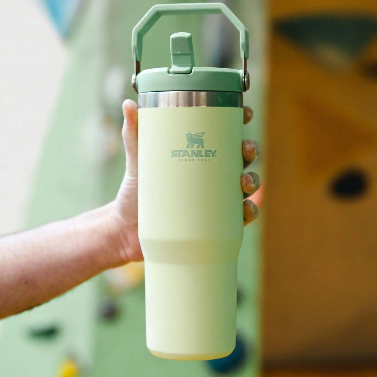 Stanley IceFlow Stainless Steel Tumbler - Vacuum Insulated Water Bottle for Home, Office or Car Reusable Cup with Straw Leak Resistant Flip Cold for 12 Hours or Iced for 2 Days, Citron, 30oz